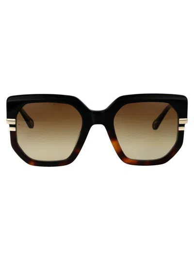 Chloé Womens Ch0240s Square-frame Acetate Sunglasses Black In 003 Black Black Brown