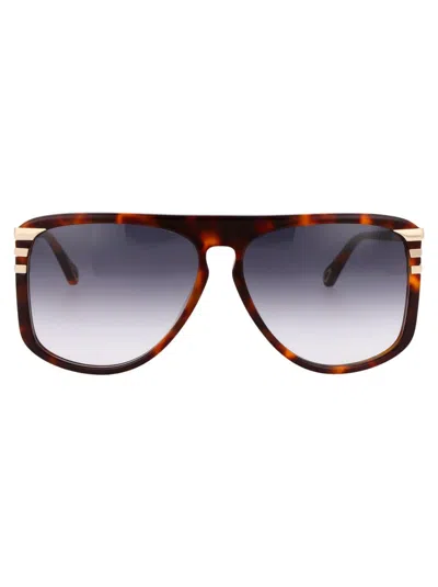Chloé Chloe Eyewear Sunglasses In Brown