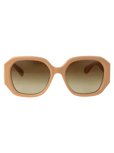 Chloé Chloe Sunglasses In 004 Ivory Ivory Brown