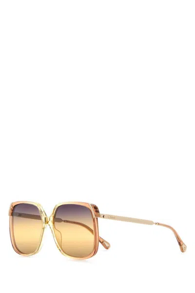 Chloé Chloe Women Printed Acetate And Metal Aly Sunglasses
