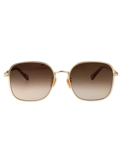 Chloé Sunglasses In Brown
