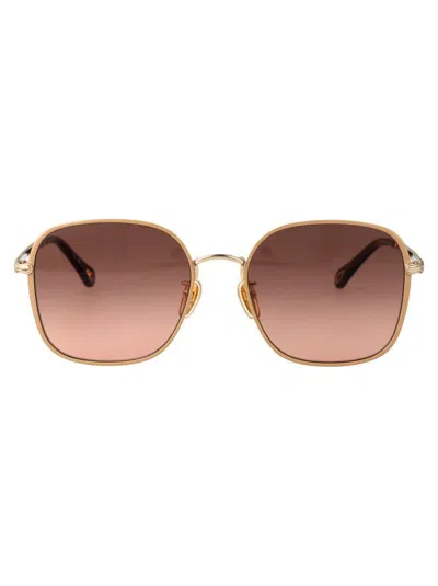 Chloé Sunglasses In Brown