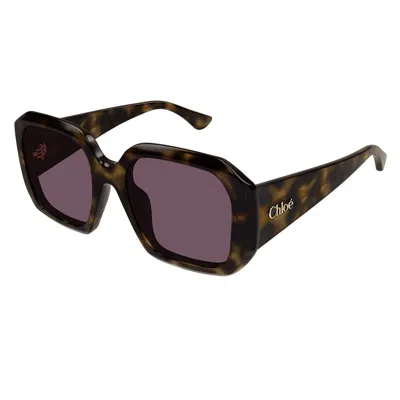 CHLOÉ CHLOÉ SUNGLASSES