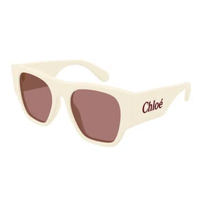 Chloé Sunglasses In Neutral