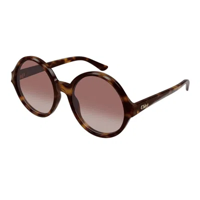 Chloé Sunglasses In Brown