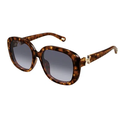 Chloé Sunglasses In Brown