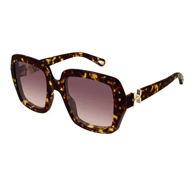 Chloé Sunglasses In Brown