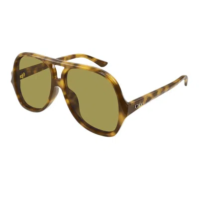 Chloé Ch0289s 003 In Green