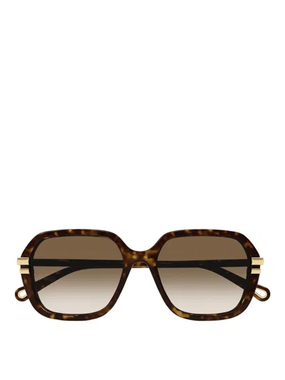 Chloé Sunglasses In Brown