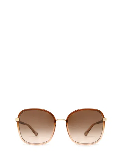 Chloé Sunglasses In Brown