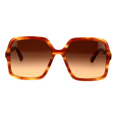 Chloé Sunglasses In Brown