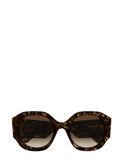 Chloé Sunglasses In Brown