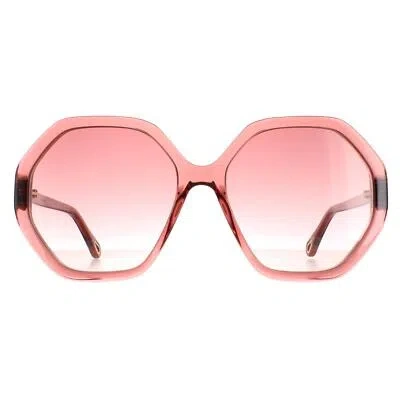 Pre-owned Chloé Chloe Sunglasses Ch0008s Esther 003 Pink Crystal Pink Brown Gradient