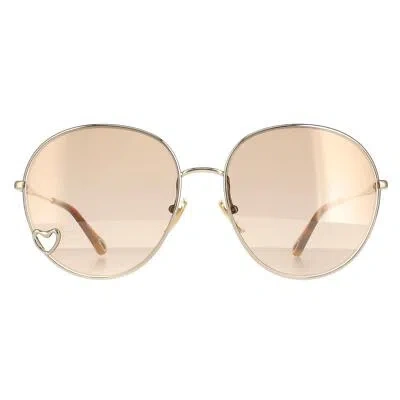 Pre-owned Chloé Chloe Sunglasses Ch0027s 006 Gold Brown Light Gold Mirror In Pink
