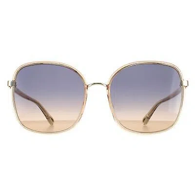 Pre-owned Chloé Chloe Sunglasses Ch0031s Franky 004 Orange Crystal Fade Gold Blue Brown Gradient