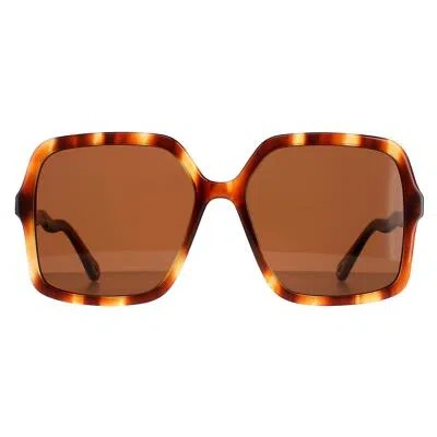Pre-owned Chloé Chloe Sunglasses Ch0086s Zelie 005 Havana Brown