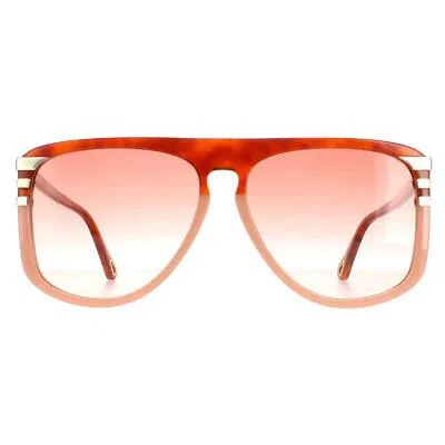 Pre-owned Chloé Chloe Sunglasses Ch0104s 006 Shiny Blonde Havana Orange Gradient