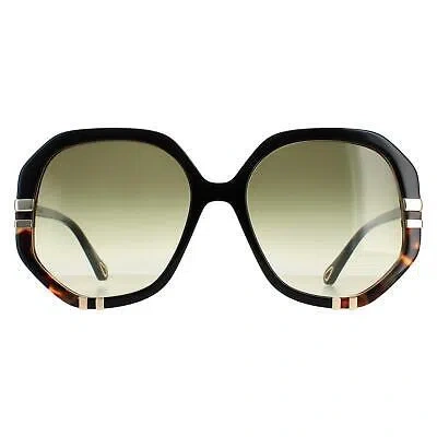 Pre-owned Chloé Chloe Sunglasses Ch0105s 002 Shiny Black And Tortoise Green Gradient
