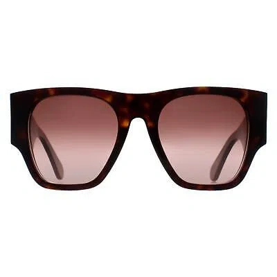 Pre-owned Chloé Chloe Sunglasses Ch0233s 002 Dark Havana Brown Gradient