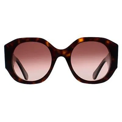 Pre-owned Chloé Chloe Sunglasses Ch0234s 002 Dark Havana Brown Gradient