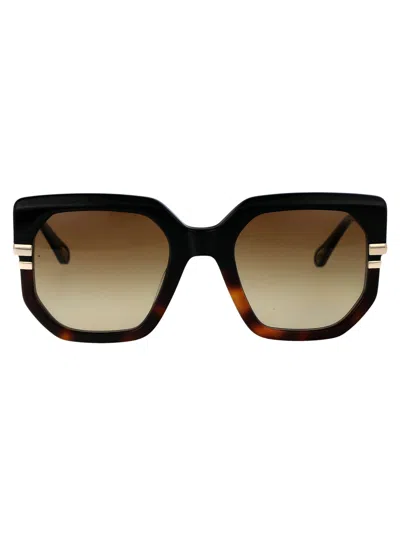 Chloé Womens Ch0240s Square-frame Acetate Sunglasses Black In 003 Black Black Brown