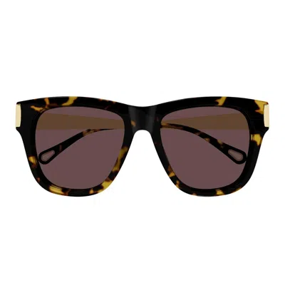 Chloé Sunglasses Ch0349 S 003 Brown Gold/purple Women In Multi