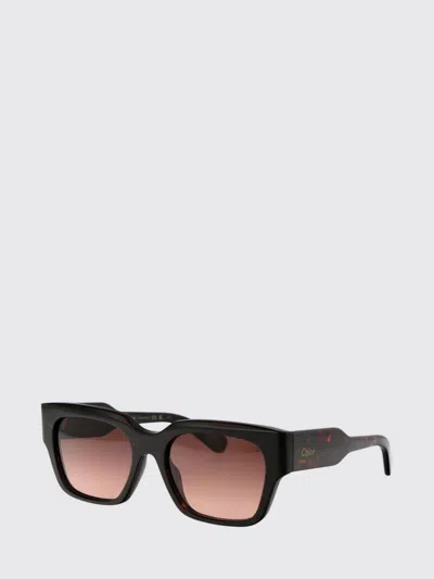 Chloé Sunglasses Woman  In Brown