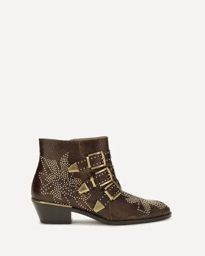 Chloé Susanna Studded Buckle-strap Ankle Boots In Brown