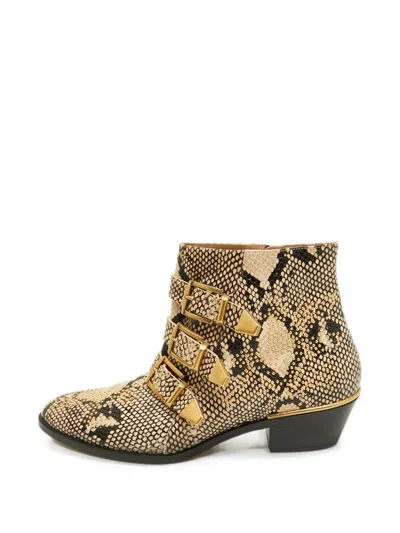 Pre-owned Chloé Susanna Buckle-detail Ankle Boots In Neutral