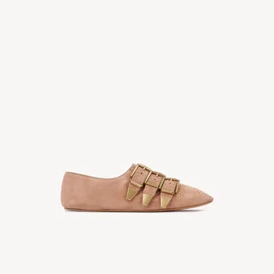Chloé Susanna Flat In Pink