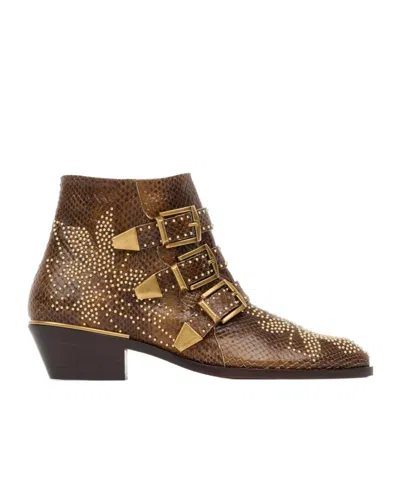 Chloé Susanna Studded Buckle-strap Ankle Boots In Animal Print