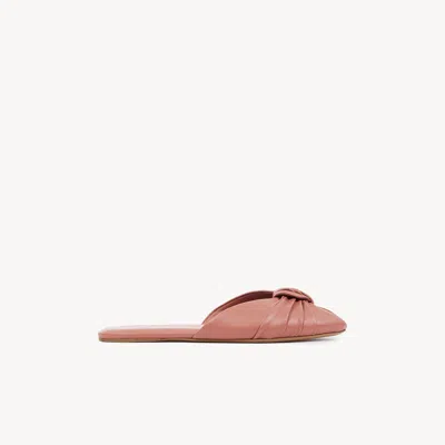 Chloé Leather Knotted Mules In Pink