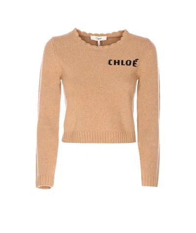Chloé Sweaters In Brown