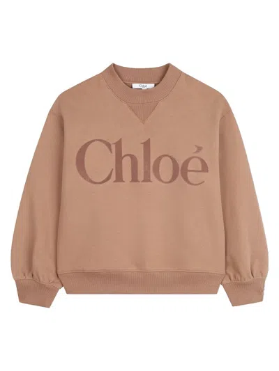 Chloé Sweatshirt In Brown
