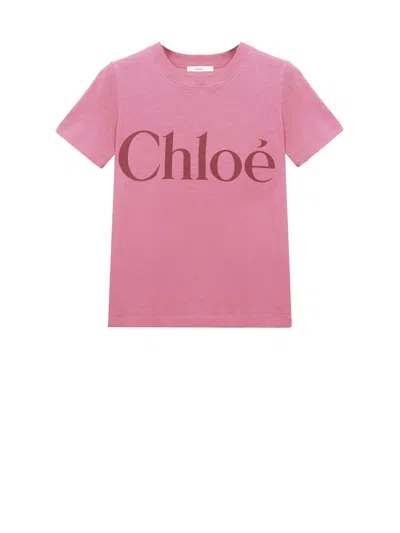Chloé The (alphabet) The (pants) - Stretch Cotton Chino Trousers