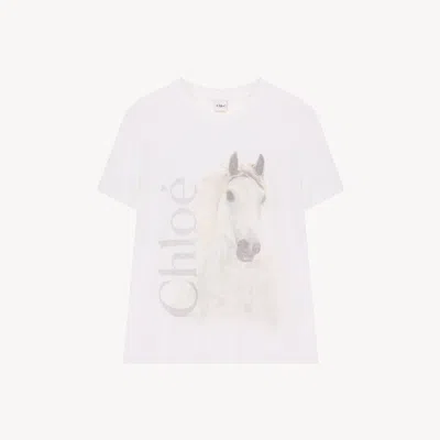 Chloé Crew-neck Logo T-shirt In Cotton Jersey In White