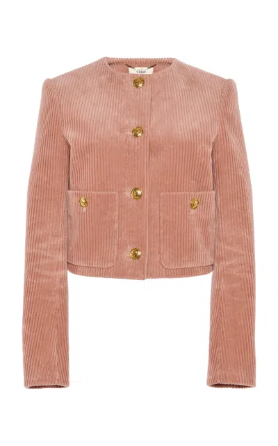 Chloé Tailored Cotton Corduroy Jacket In Pink