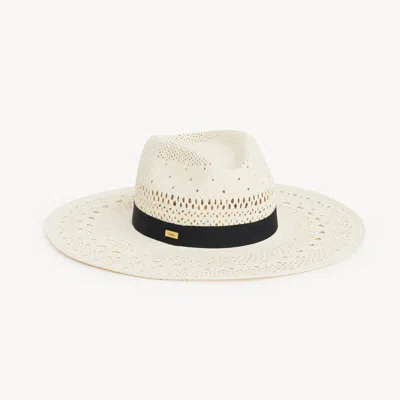 Chloé The  Panama Hat In Palm Straw White Size S 100% Carludovica Palmata, Farmed, Coo Ecuador, Cotto