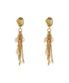Chloé Gold-tone Shell Pearl Drop Earrings In Gold