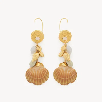 Chloé The  Shells Mono Earring Beige Size Onesize 100% Brass, Aluminium In Gold