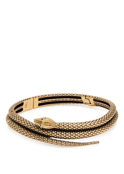 Chloé Chloe The Chloe Snake Necklace In Gold