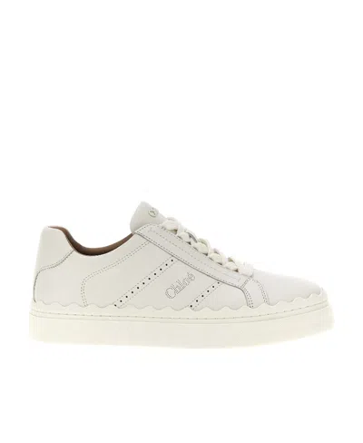 CHLOÉ CHLOÉ LAUREN LOW-TOP SNEAKERS