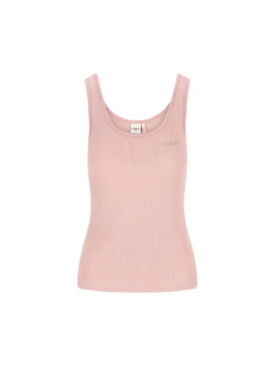 Chloé Ribbed Knit Cotton Sleeveless Top In Pink