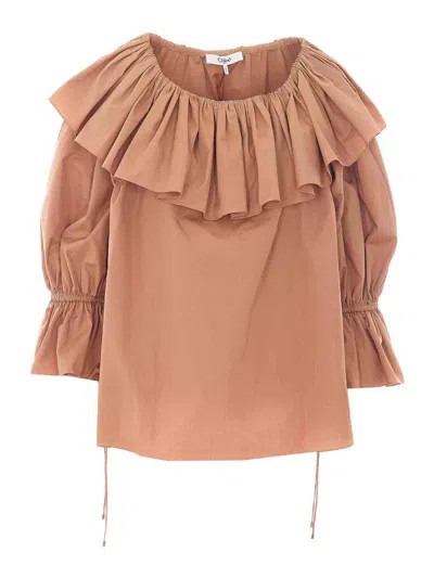 CHLOÉ REEF SHEEL BROWN H101 TOP