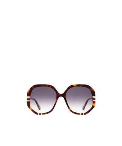Chloé Womens Ch0105s Hexagonal-frame Acetate Sunglasses Brown In Multi