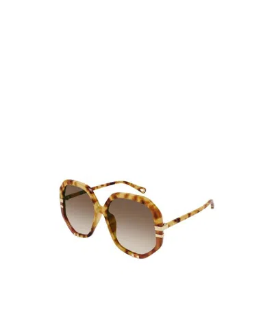 Chloé Tortoise-shell Oversize-frame Sunglasses In Brown