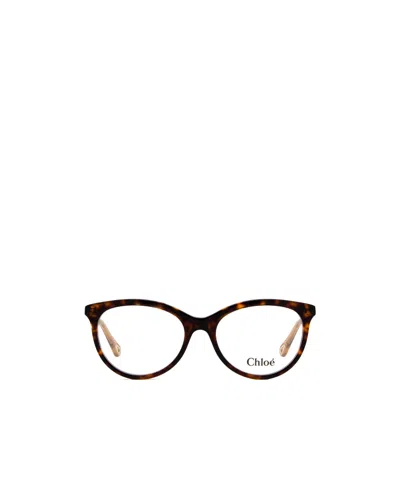 Chloé Tortoiseshell-effect Oval-frame Glasses In Black