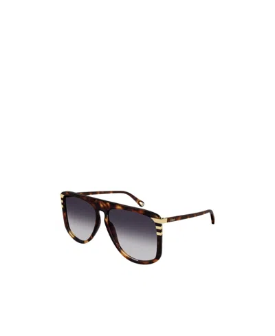 Chloé Tortoiseshell Effect Sunglasses In Black