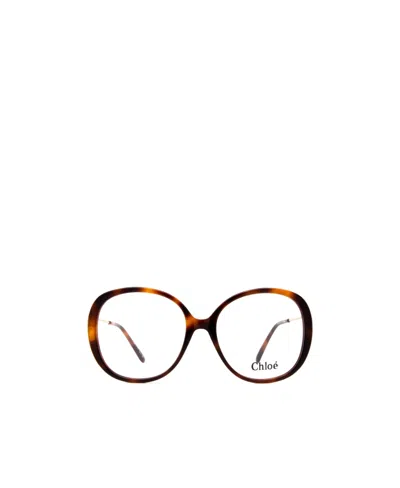 Chloé Tortoiseshell Oversize-frame Glasses In Brown