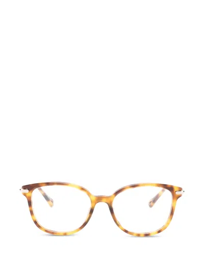 Chloé Tortoiseshell Round-frame Glasses In Brown